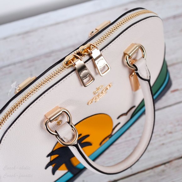 Coach | Bags | Nwt Coach Katy Satchel With Sunset Motif Rare | Poshmark